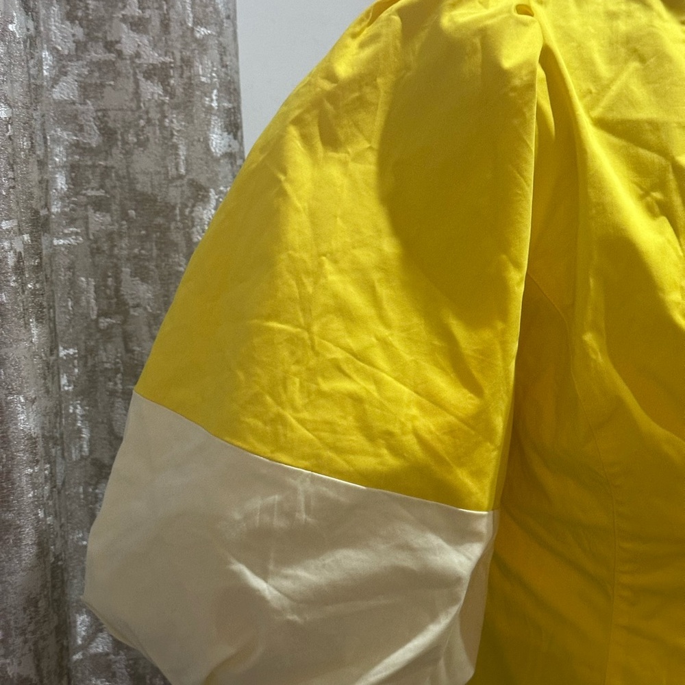 Banana Republic Yellow A-Line Puff Sleeve Dress - Picture 3 of 6